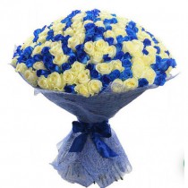BOUQUET OF 201 WHITE AND BLUE ROSES